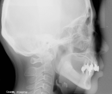 ���×�@�������ȁE�R�����ȁE�C���v�����g�̐�莕�ȁE�������Ȉ�@�i���{�s�j